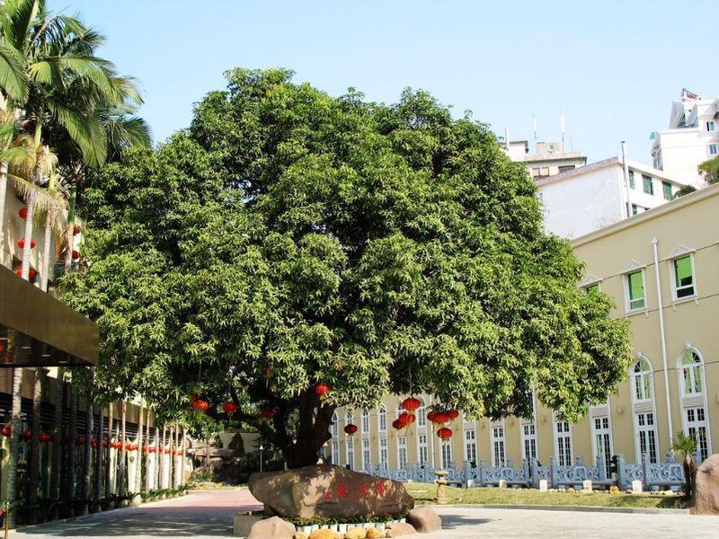 Hilford Hotel Xiamen Exterior foto